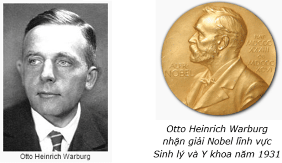 Nghiên cứu của nhà Nobel y học: Kiềm hóa cơ thể là chìa khóa chống ung thư Nghiên cứu của nhà Nobel y học: Kiềm hóa cơ thể là chìa khóa chống ung thư